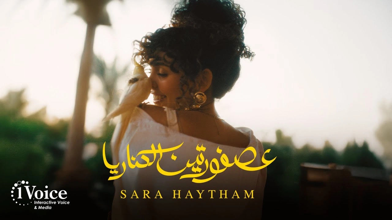 عصفورتين الكناريا - سارة هيثم