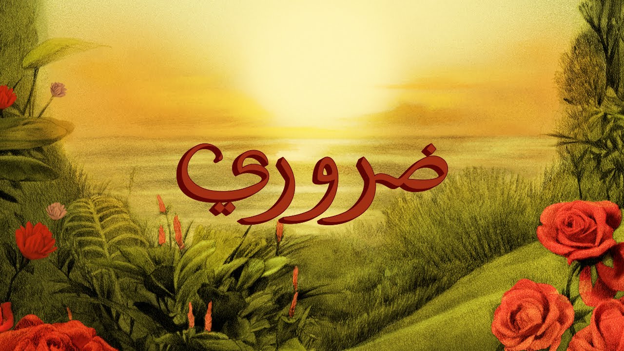 ضروري - تووليت كلمات