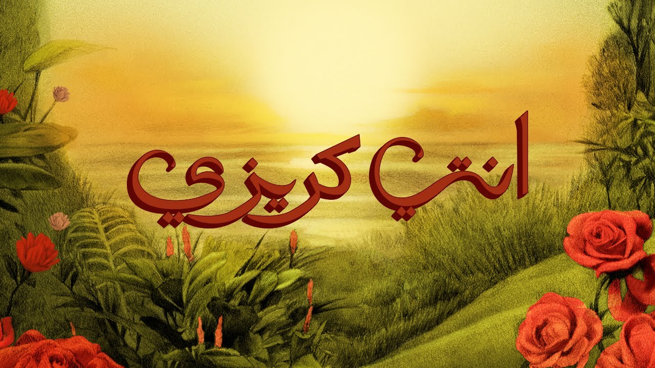 إنتي كريزي - تووليت كلمات