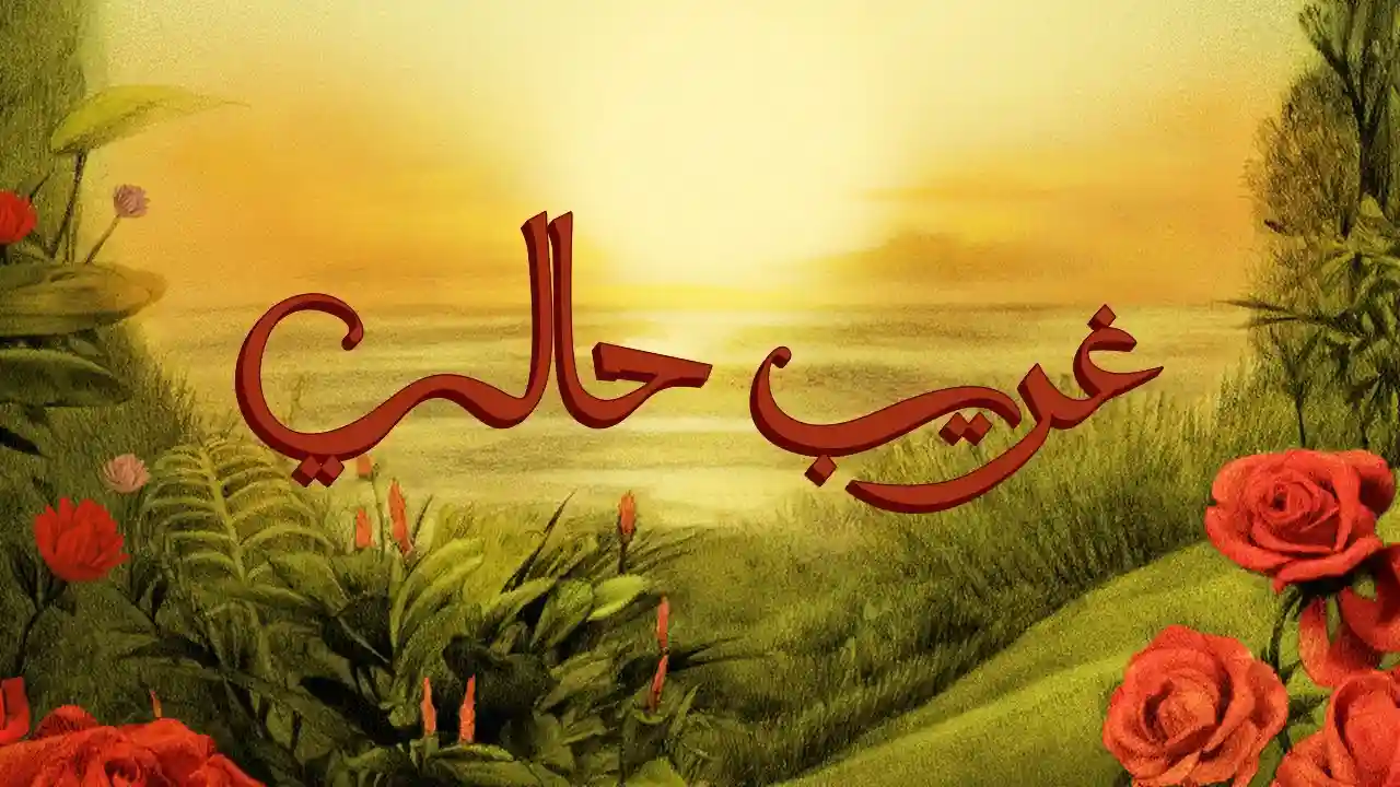 غريب حالي - تووليت كلمات