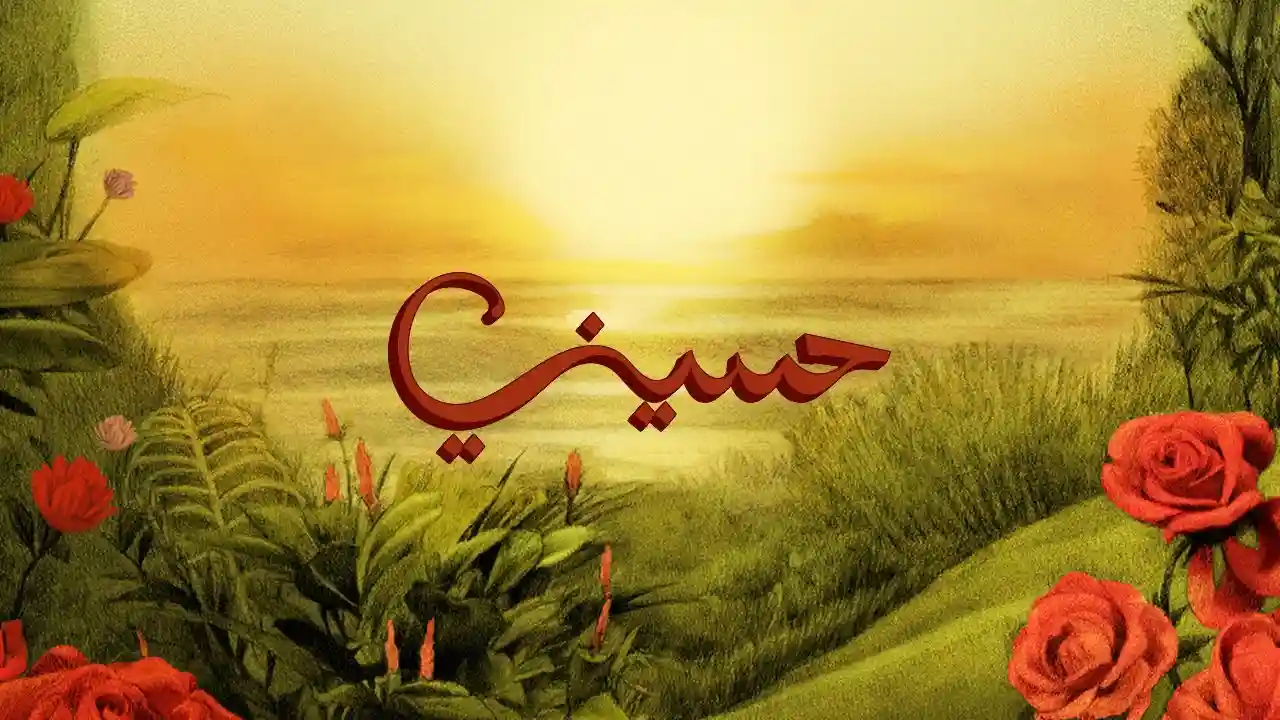 حسيني - تووليت